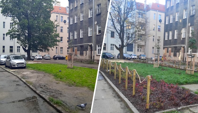 Powiększ obraz: Na zdjęciu podwórko przy ul. Reja/Walecznych we Wrocławiu przed i po odrestaurowaniem terenu przez spółkę Wrocławskie Mieszkania