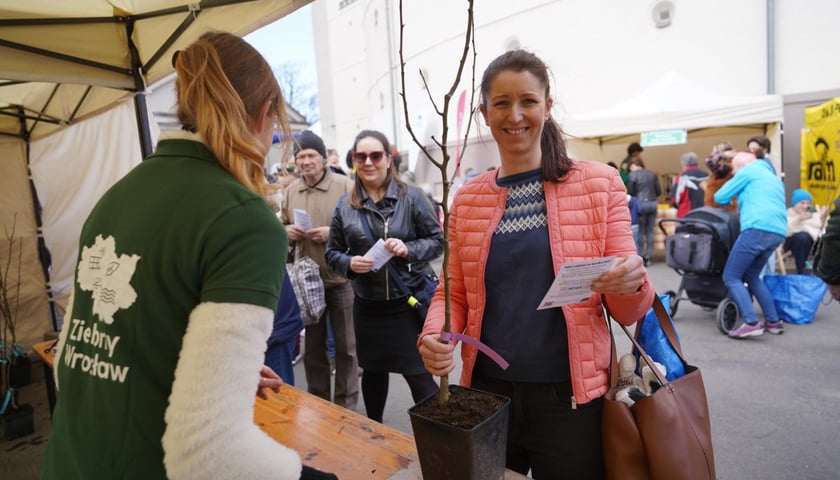 Zielony piknik na placu Strzegomskim. Jedną z atrakcji jest odbiór drzewek