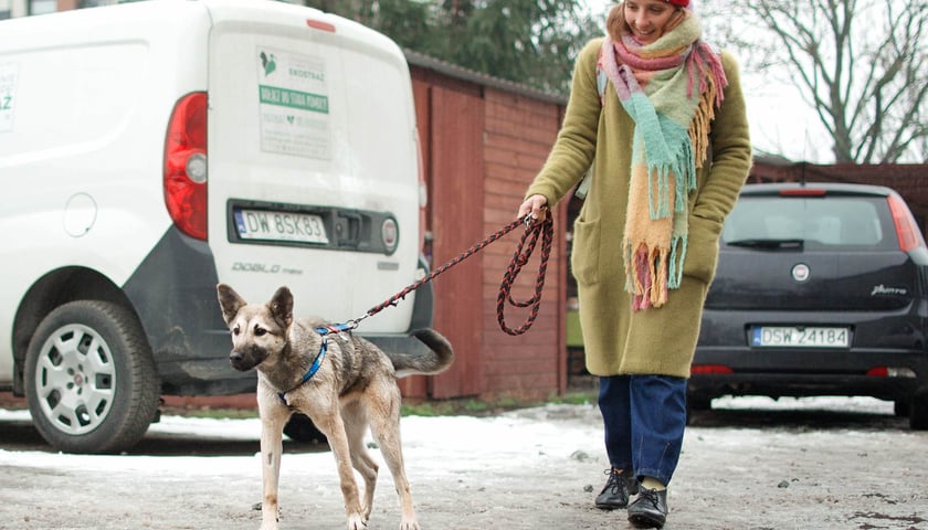 2 kwietnia dzień otwarty Ekostraży - przyjdź, poznaj, adoptuj psa lub kota