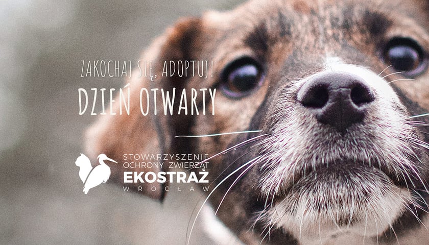 2 kwietnia dzień otwarty Ekostraży - plakat