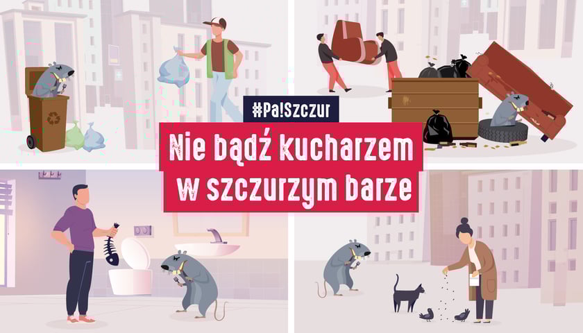 Nie bądź kucharzem w szczurzym barze.