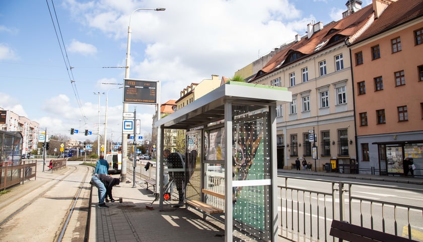 Powiększ obraz: <p>Pierwsza we Wrocławiu zielona wiata na przystanku</p>