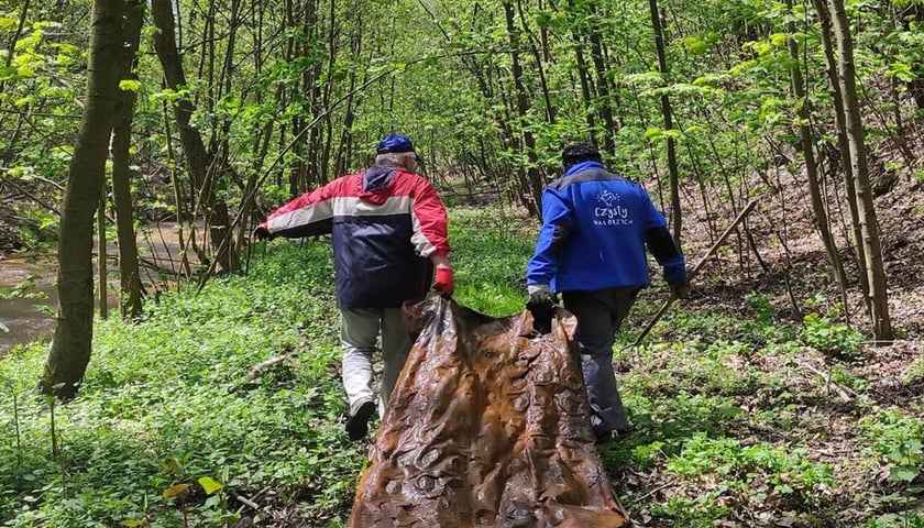 Powiększ obraz: Śmieci wyciągnięte z Odry podczas Akcji Czysta Odra