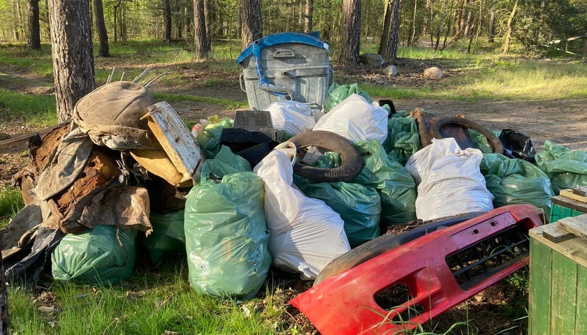 Śmieci wyciągnięte z Odry podczas Akcji Czysta Odra