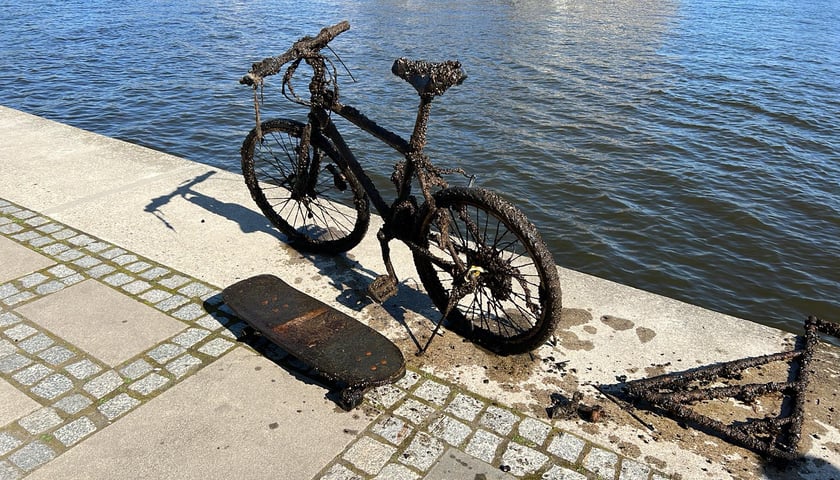 Rower i deskorolka wyciągnięta z Odry podczas Akcji Czysta Odra