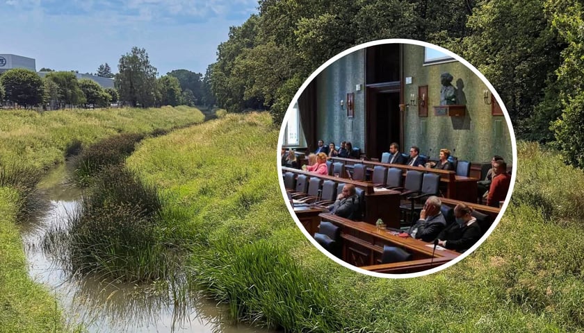 Lasek Oporowski jest pod ochroną.  W kółku radni na sesji