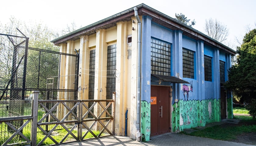 Obecna lwiarnia w Zoo Wrocław