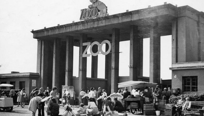 Jak zmieniało się wrocławskie zoo po wojnie? Zobaczcie unikatowe archiwalne zdjęcia i rysunki