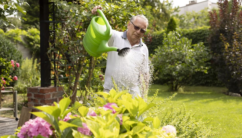 Pan Maciej Wysocki używa do podlewania ogrodu deszczówki z dachu swojego domu