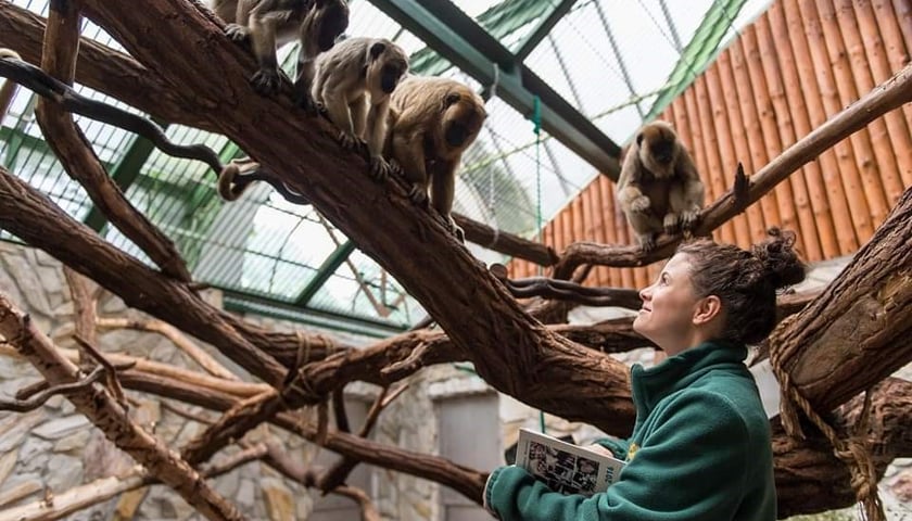 "Cieszę, że moja koncepcja rozwoju ZOO okazała się dla komisji konkursowej najciekawsza i warta realizacji" - mówi Marta Zając-Ossowska, nowa dyrektor generalna wrocławskiego zoo