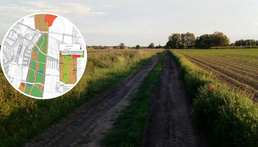 Na zdjęciu obszar, na którym planowany jest Zielony Klin Południa Wrocławia