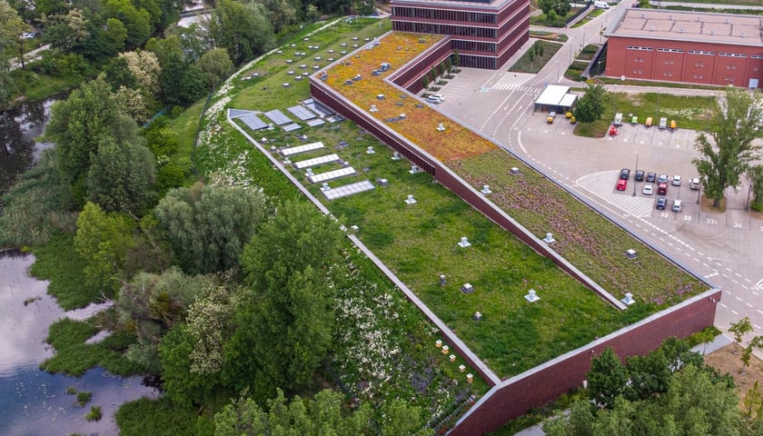 zielony dach budynku bazy transportowo-logistycznej wrocławskiego MPWiK