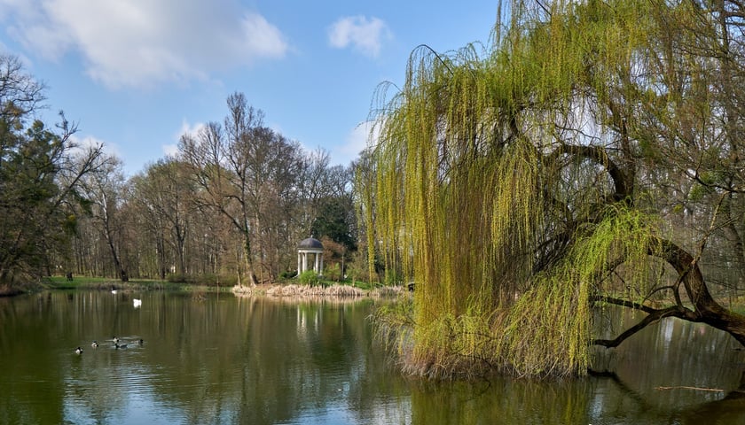 Park w Pawłowicach