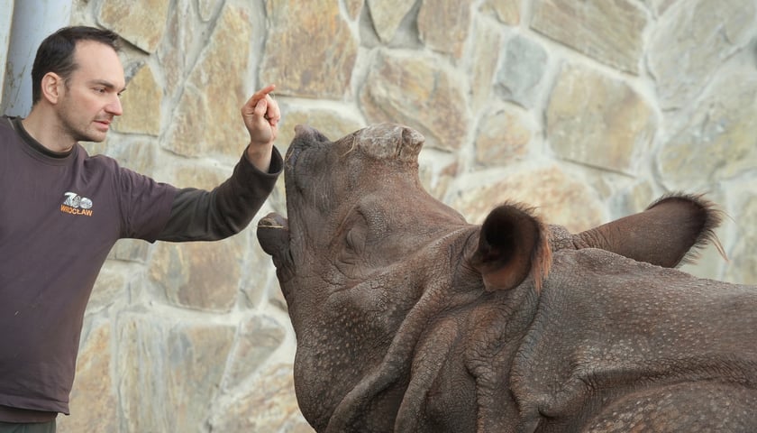 Powiększ obraz: Praca w zoo wymaga odpowiedniego przygotowania