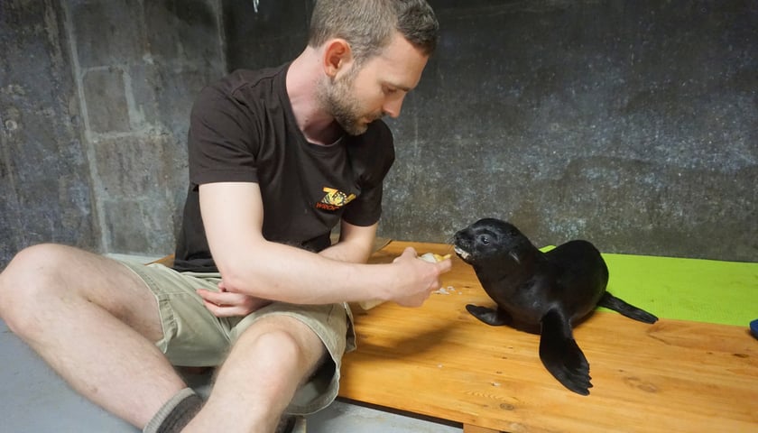 ZOO Wrocław