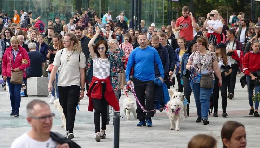 Jedna z poprzednich Parad Psów Wrocławskich. Na zdjęciu  grupa ludzi z psami na smyczy. 