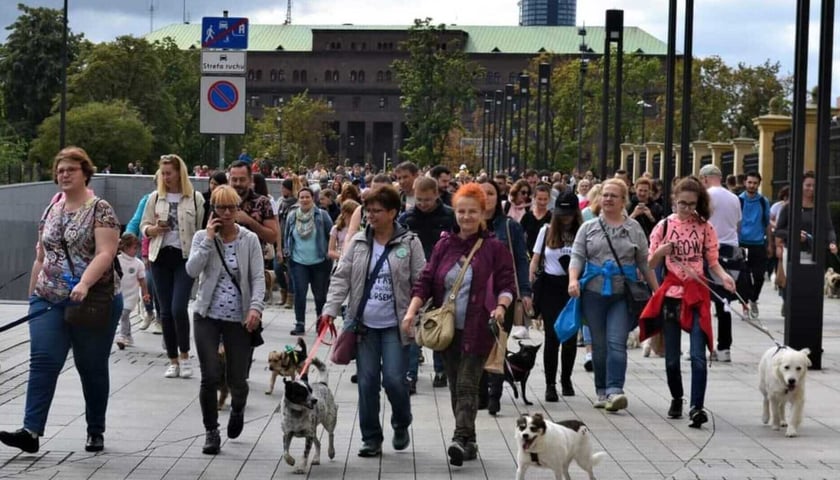 Jedna z poprzednich Parad Psów Wrocławskich