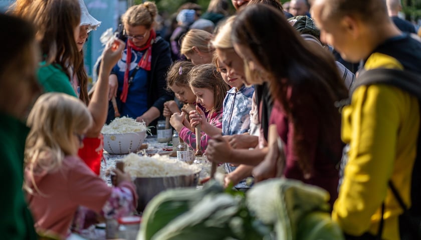 Sobota z Zielonym Wrocławiem - atrakcje podczas rodzinnego pikniku