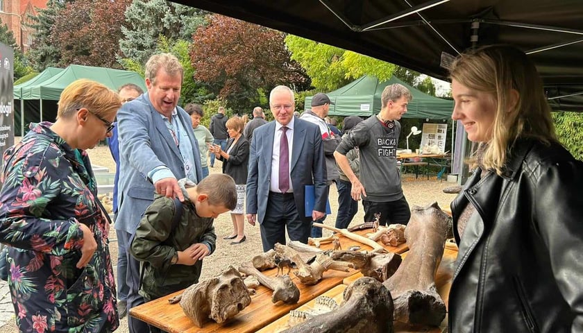 Piknik Paleontologiczny we wrocławskim Ogrodzie Botanicznym