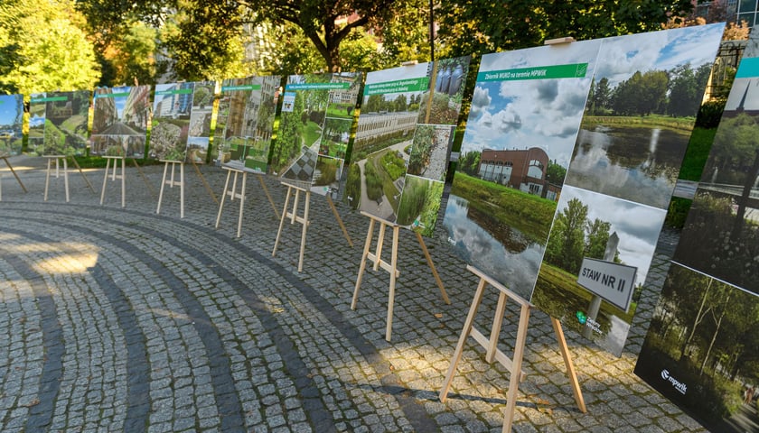 Strategia Gospodarowania Wodami Opadowymi we Wrocławiu - konferencja i wybrane realizacje