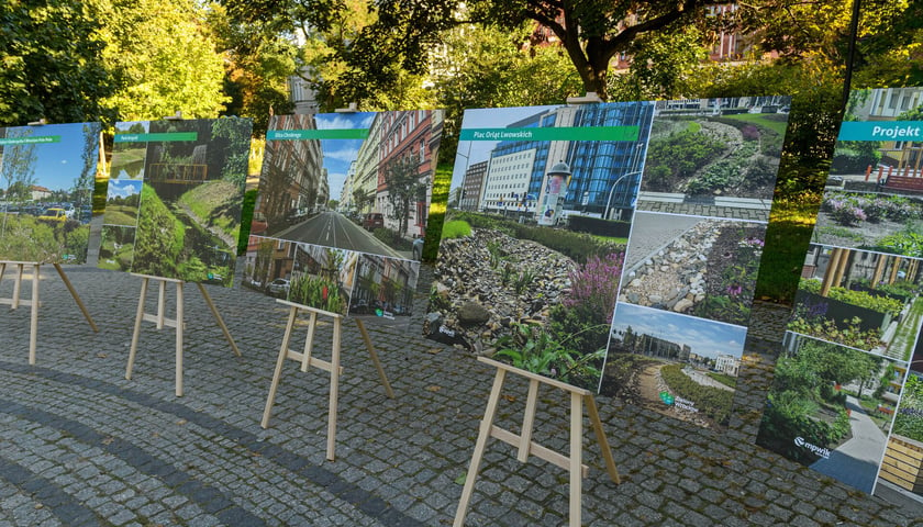 Strategia Gospodarowania Wodami Opadowymi we Wrocławiu - konferencja i wybrane realizacje