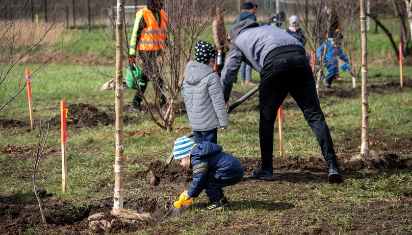 Powiększ obraz: WROśnij we WROcław