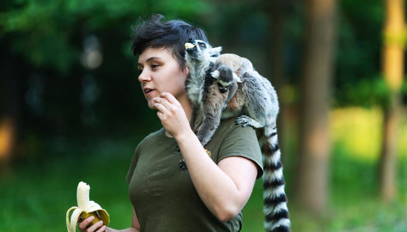 Powiększ obraz: Opiekun zwierząt z zoo Wrocław. Katarzyna Pisula, Wydział Małych Ssaków