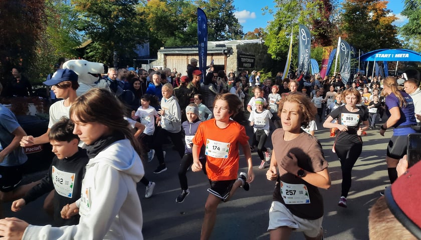 Wild Run to bieg charytatywny. Zebrane dzięki niemu pieniądze zostaną przeznaczone na pomoc zagrożonym zwierzętom w Afryce.