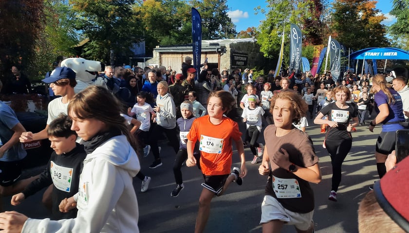 Powiększ obraz: Wild Run to bieg charytatywny. Zebrane dzięki niemu pieniądze zostaną przeznaczone na pomoc zagrożonym zwierzętom w Afryce.