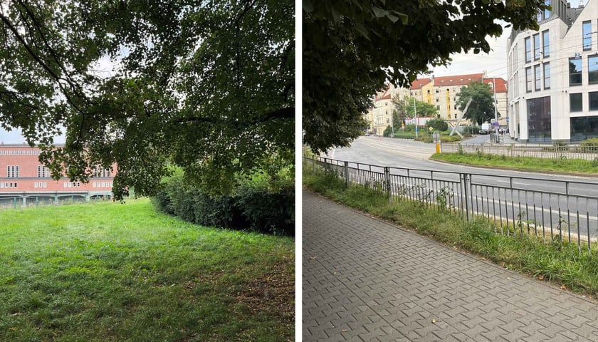 Zieleniec im. Tadeusza Szczęsnego Owińskiego - tu powstanie nowy park kieszonkowy we Wrocławiu