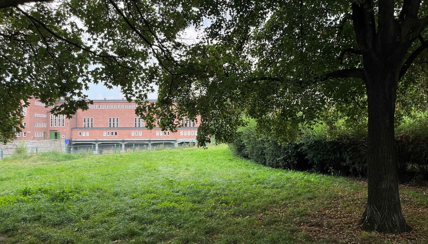 Zieleniec im. Tadeusza Szczęsnego Owińskiego - tu powstanie nowy park kieszonkowy we Wrocławiu