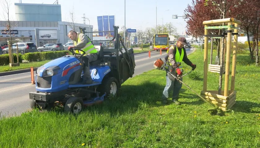 Wrocław kosi trawniki z myślą o ekologicznych korzyściach i zmianach klimatu