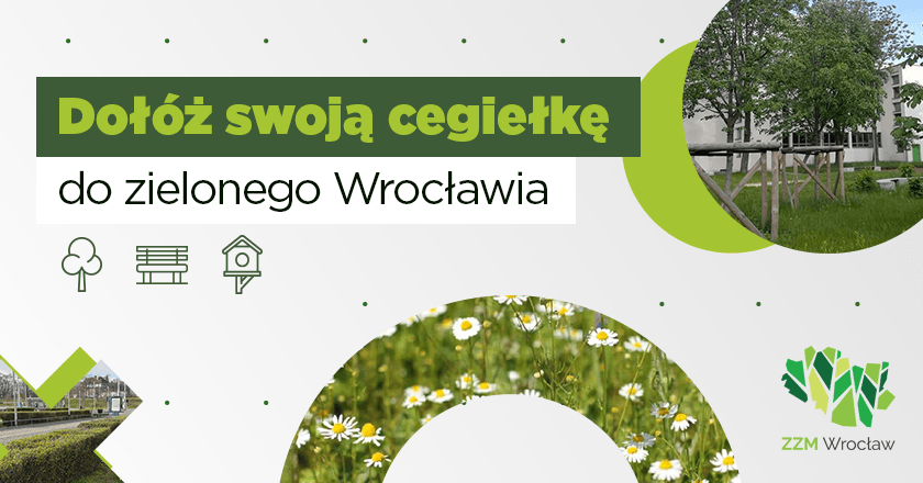 Dołóż swoją cegiełkę do zielonego Wrocławia - Zielony Mecenat