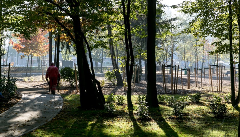 Park Zachodni we Wrocławiu