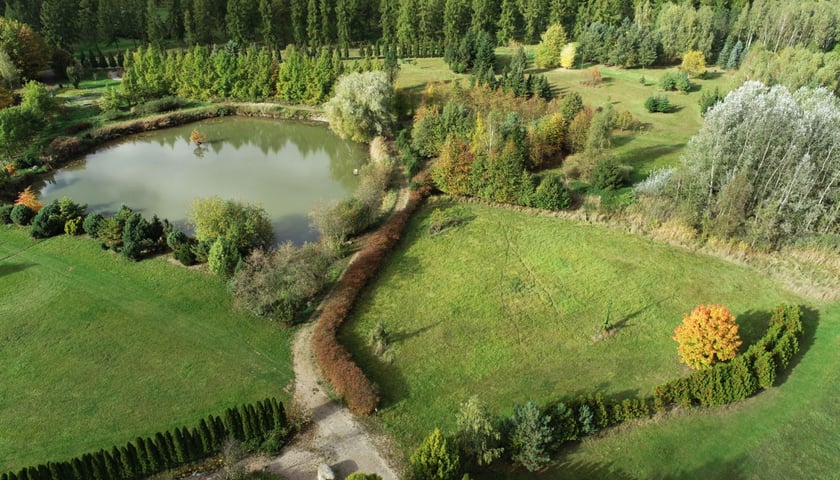 Powiększ obraz: Arboretum Leśne