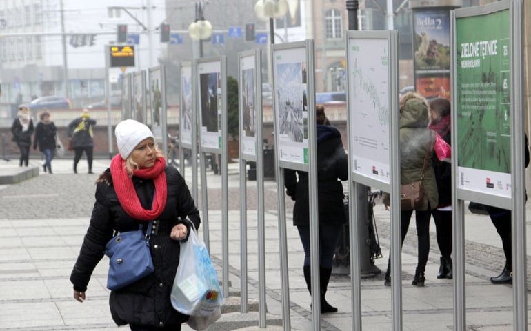 Zobacz Zielone Tętnice Wrocławia na ul. Oławskiej
