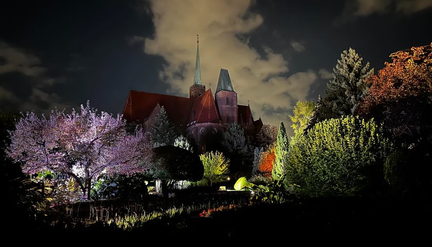 Nocne iluminacje w Ogrodzie Botanicznym