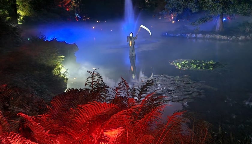 Nocne iluminacje w Ogrodzie Botanicznym