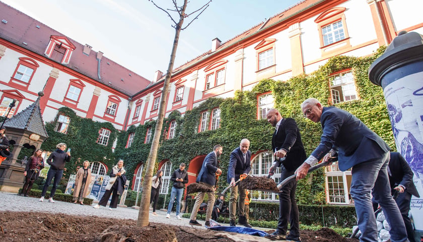 Uroczyste wkopanie młodego kasztanowca na dziedzińcu Ossolineum