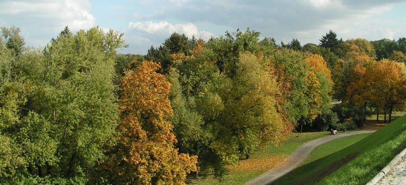Wstrzymano wycinkę drzew w parku Grabiszyńskim