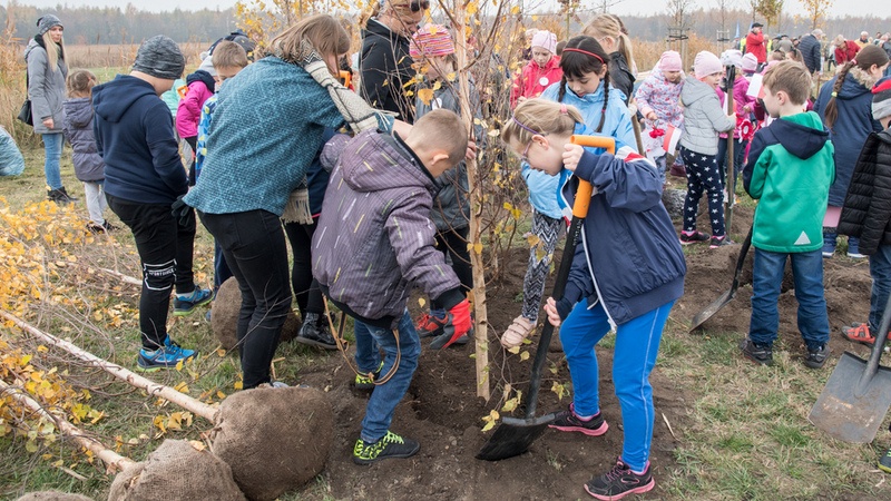 Sto drzew dla Niepodległej w parku Tysiąclecia