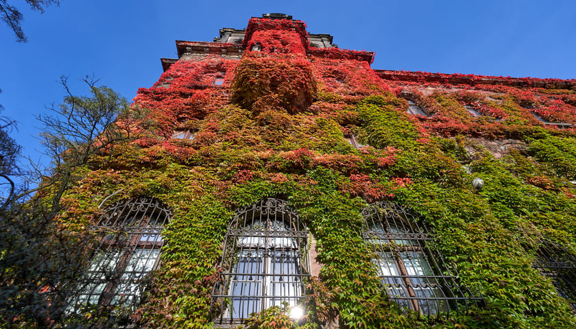 Budynek Muzeum Narodowego we Wrocławiu