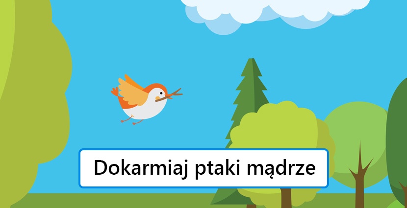 Krok VII – mądrze dokarmiaj ptaki