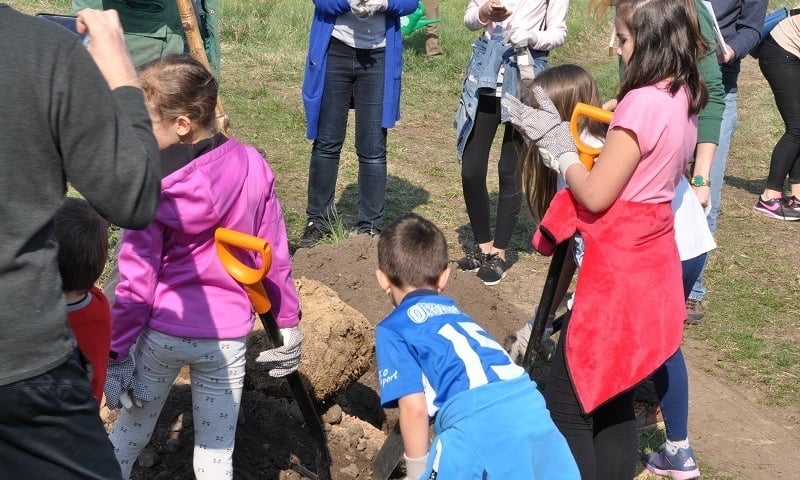 Akcja sadzenia w EkoParku na Stabłowicach