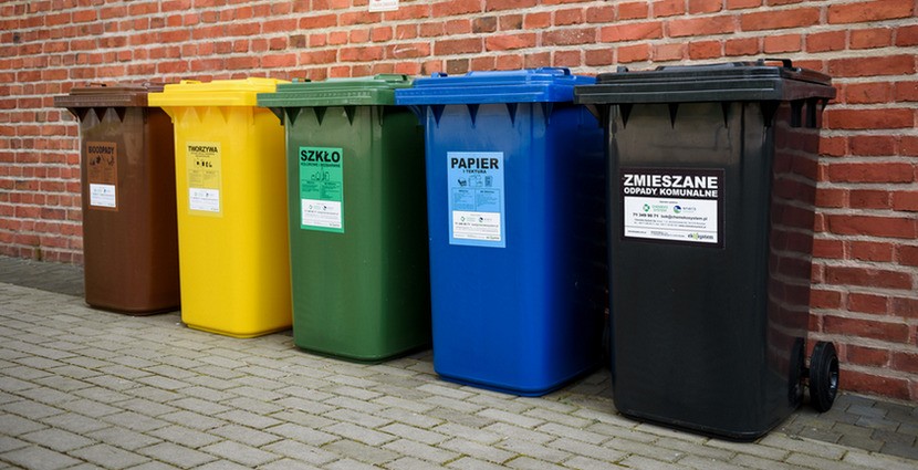 Rozpoczyna się zbiórka bioodpadów we Wrocławiu