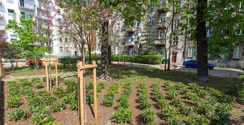 zdjęcie ilustracyjne - zielone podwórko na Ołbinie stworzone w ramach projektu GrowGreen