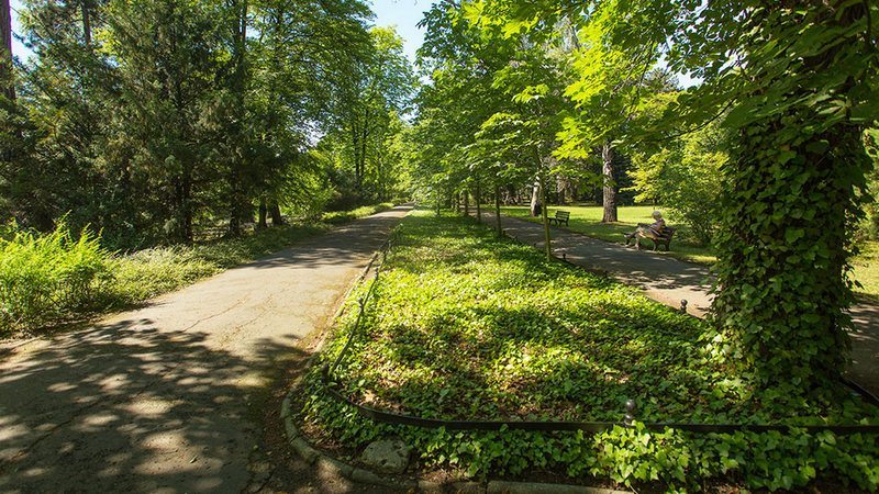Park Szczytnicki