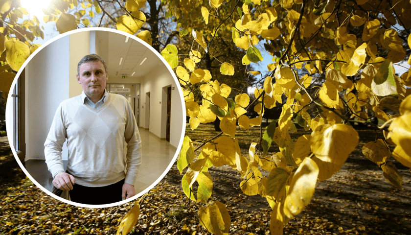 Gałęzie, na których wiszą żółte liście, w tle park z liśćmi na trawie (zdjęcie główne), prof. Przemysław Bąbelewski z Wydziału Przyrodniczo-Technologicznego Uniwersytetu Przyrodniczego (zdjęcie w kółku)