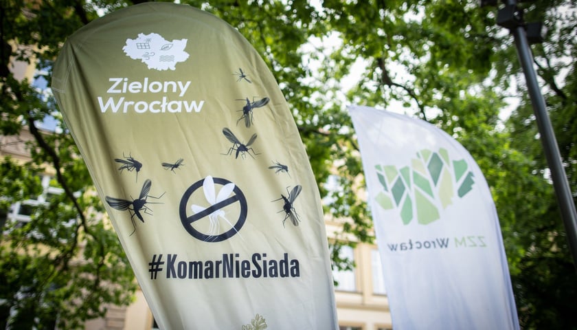 Powiększ obraz: #KomarNieSiada - odkomarzanie we Wrocławiu