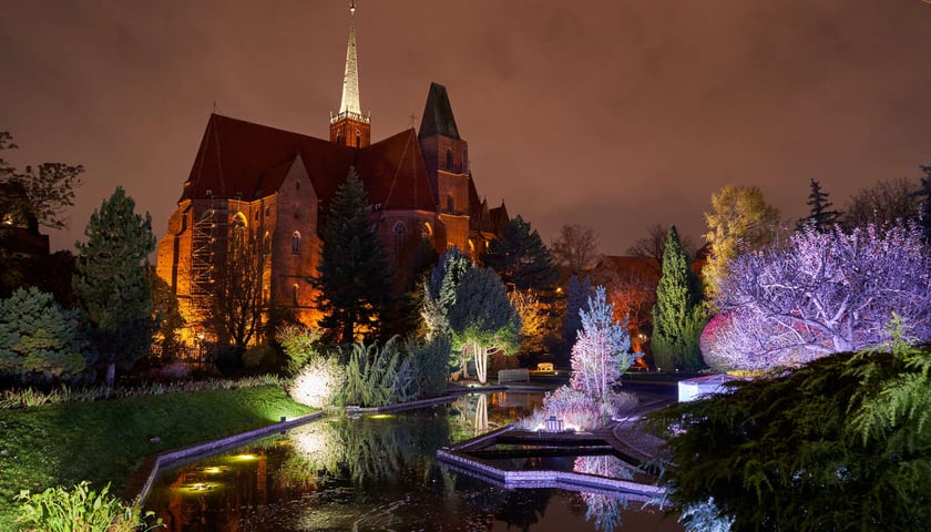 Nocne iluminacje w Ogrodzie Botanicznym